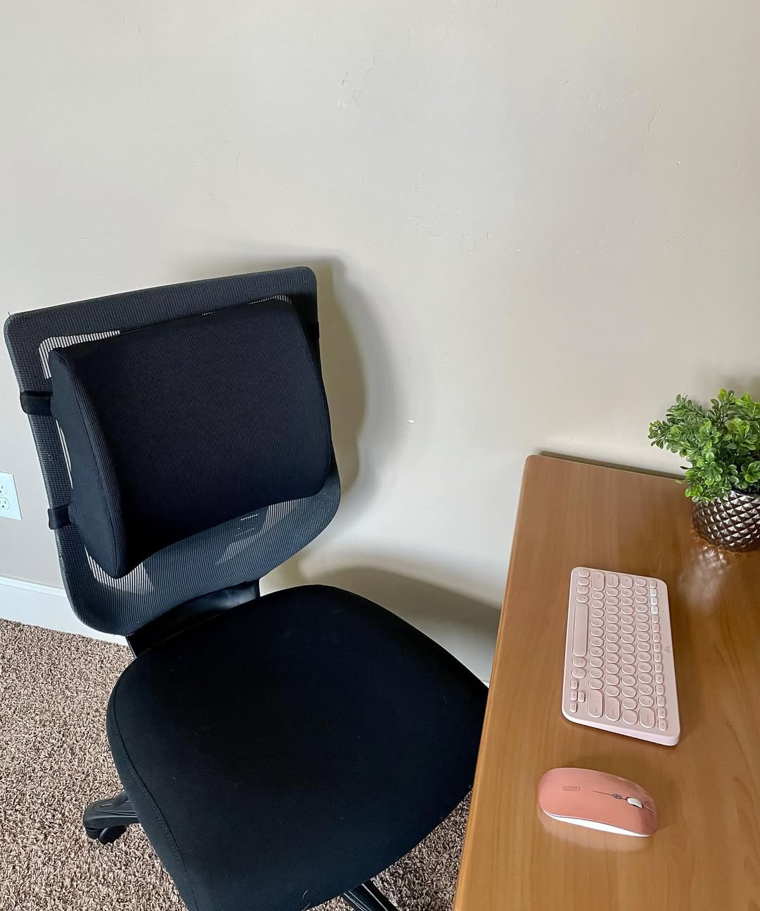 Back Support Pillow